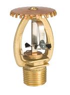 Tyco 775701155, Upright Sprinkler Head, Brass, 155°F, K=5.6